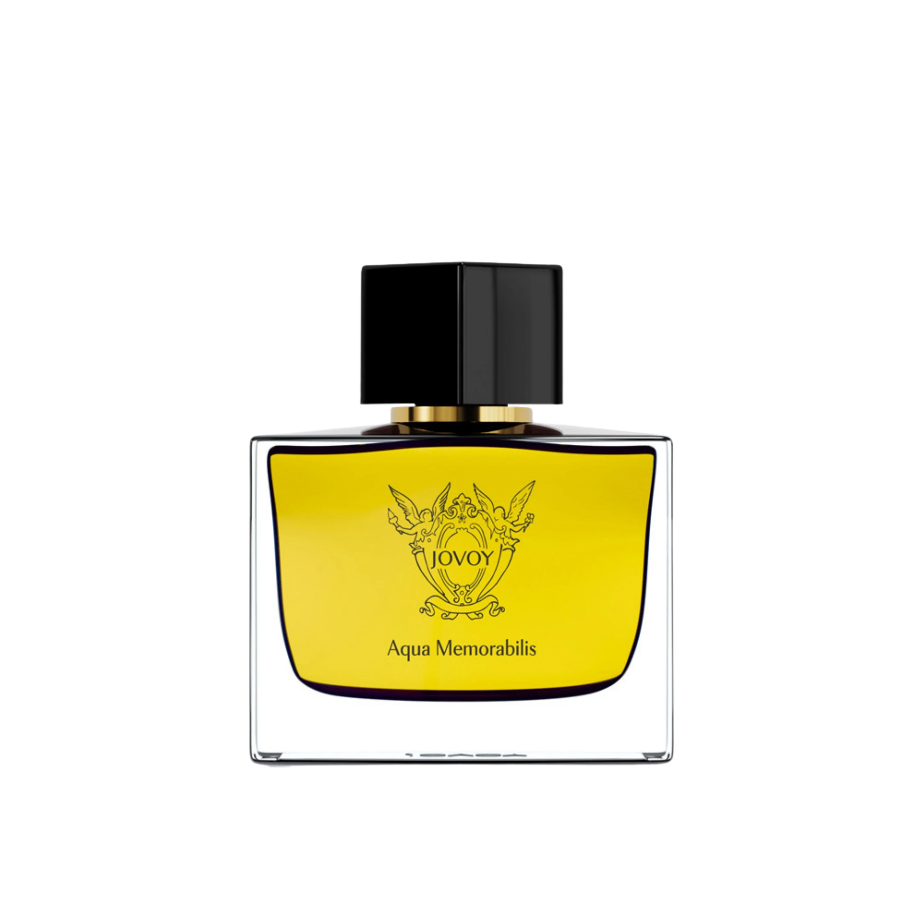 AQUA MEMORABILIS - JOVOY
