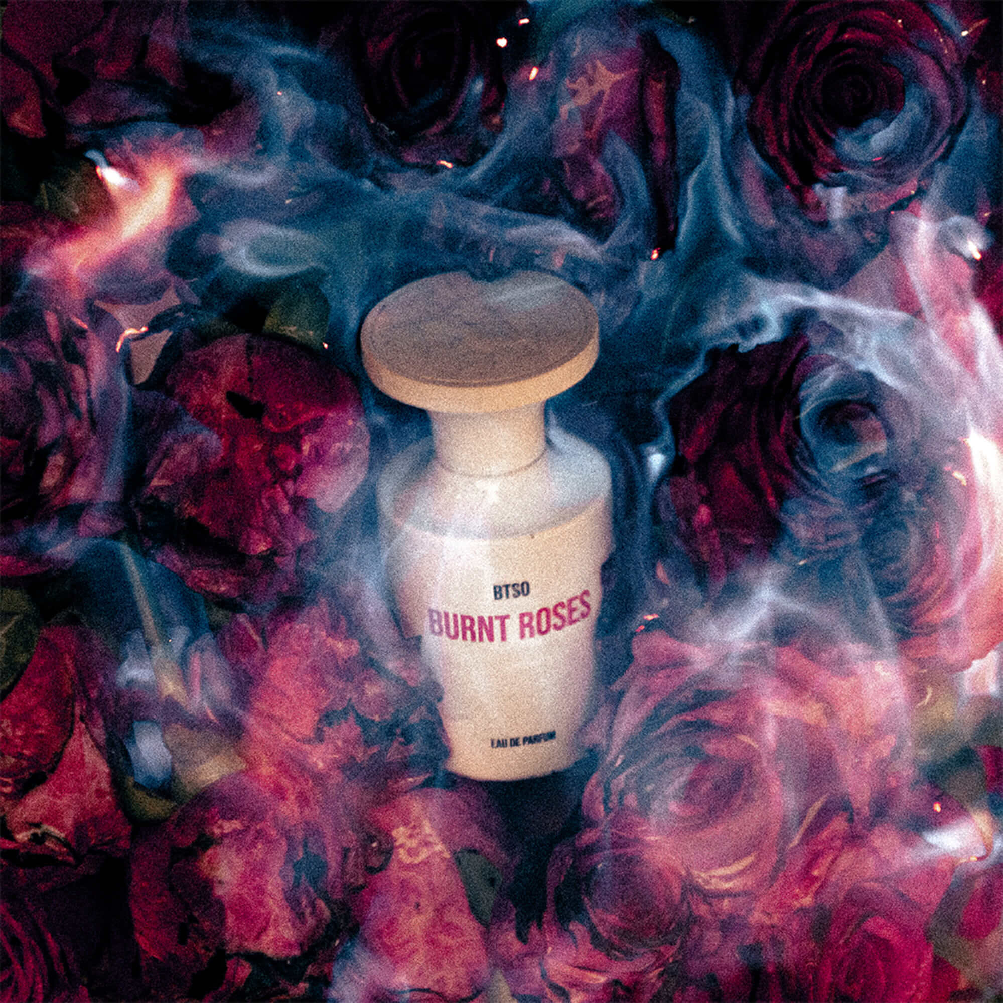 BURNT ROSES - BORNTOSTANDOUT - Image 2