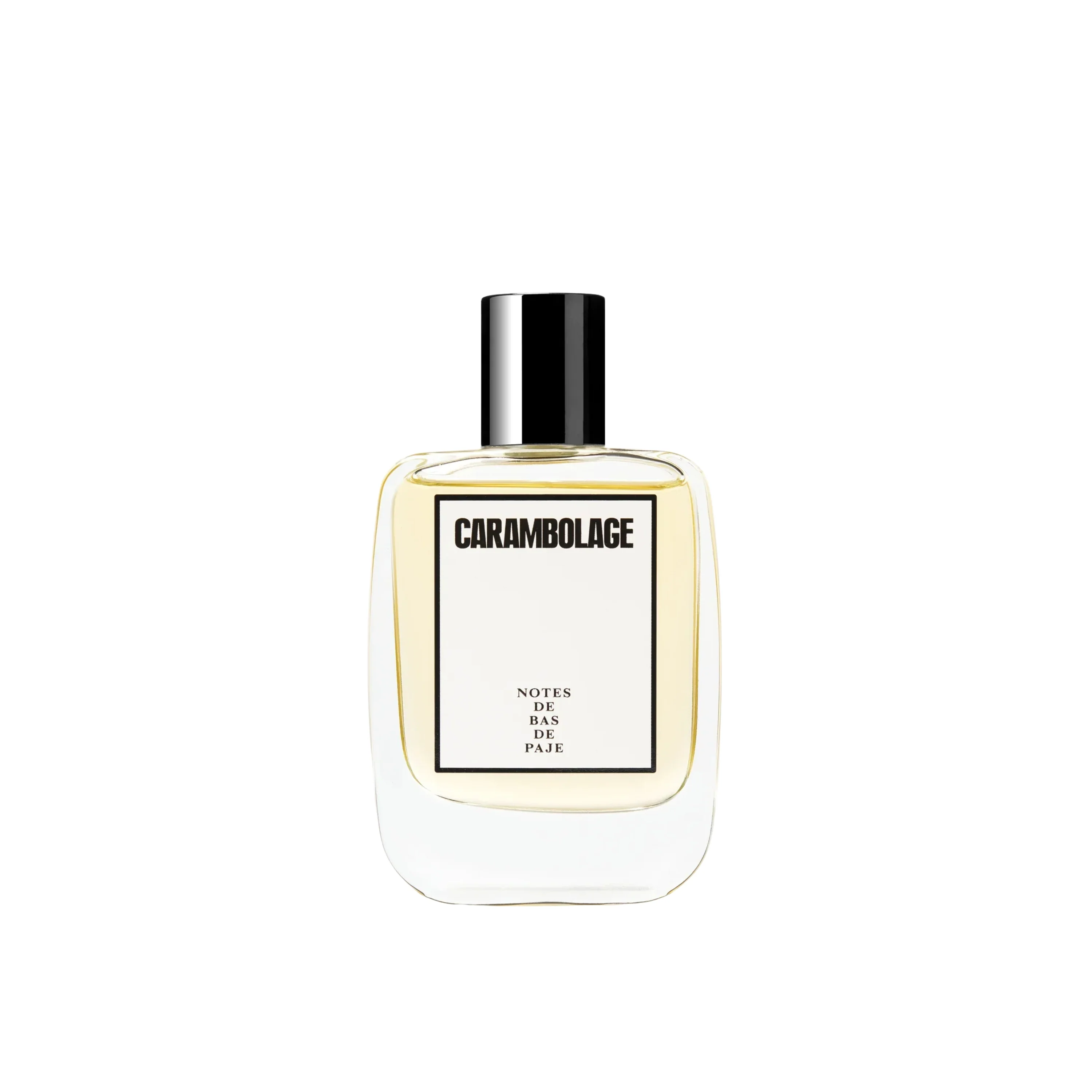 CARAMBOLAGE - NOTES DE BAS DE PAJE