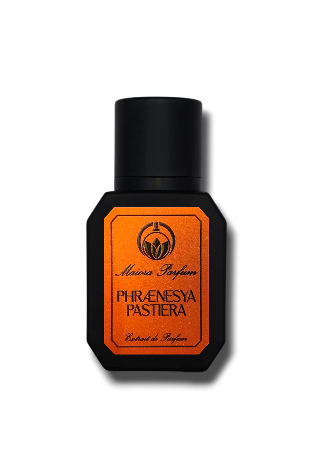 PHRAENESYA PASTIERA - MAIORA