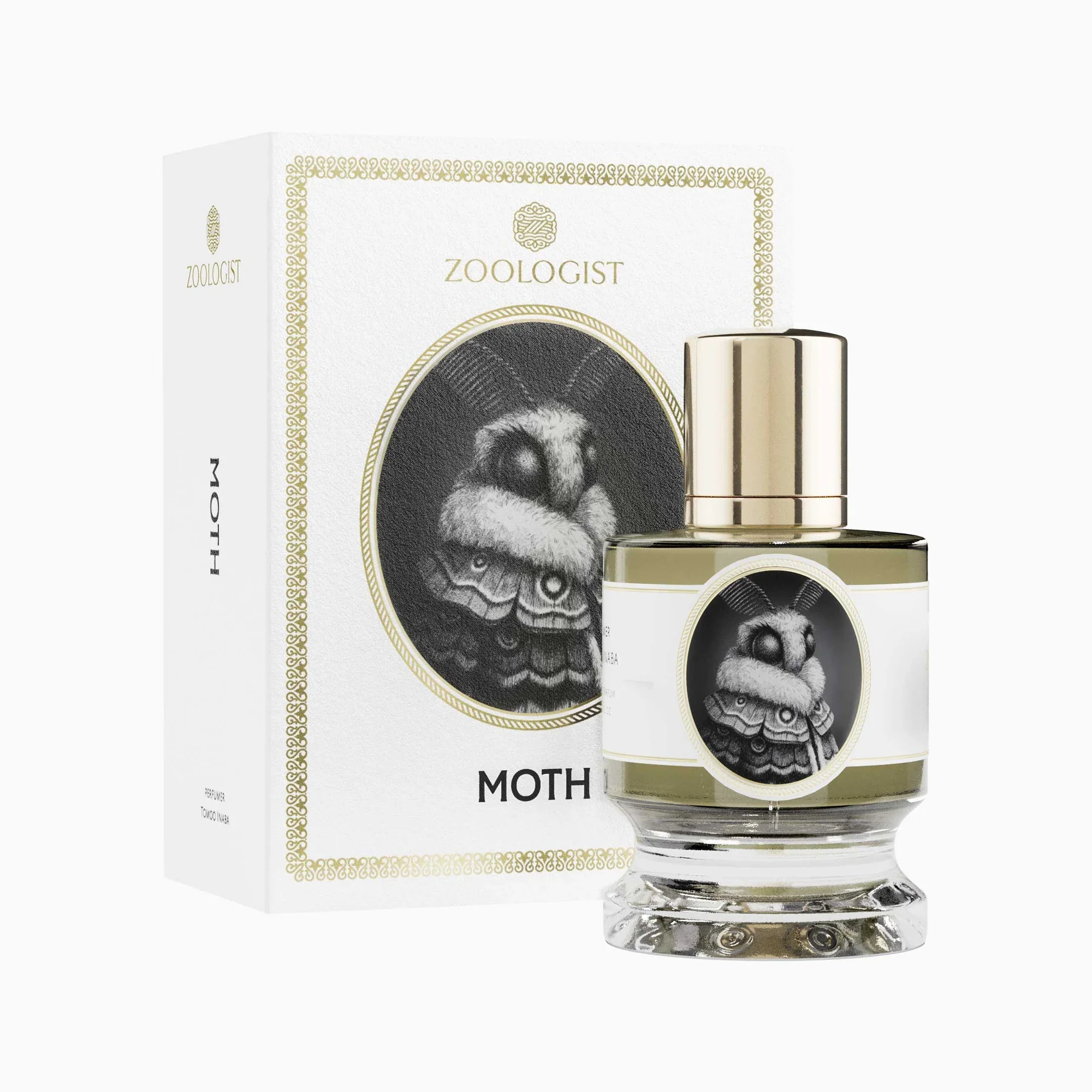 MOTH - ZOOLOGIST - Image 2