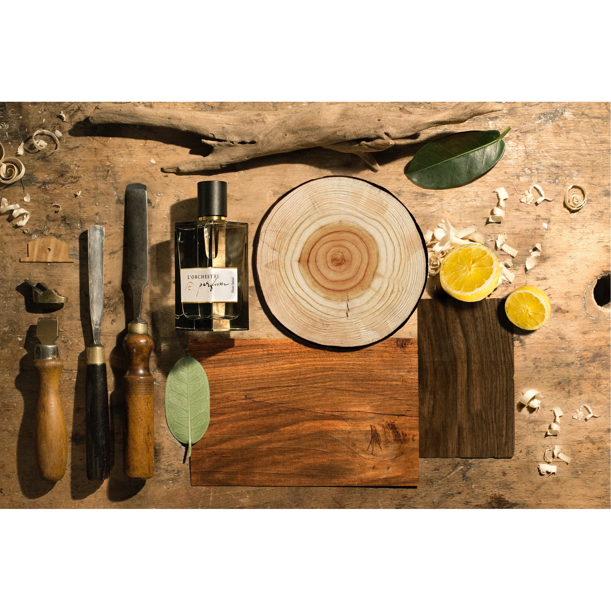 PIANO SANTAL - L'ORCHESTRE PARFUM - Image 3