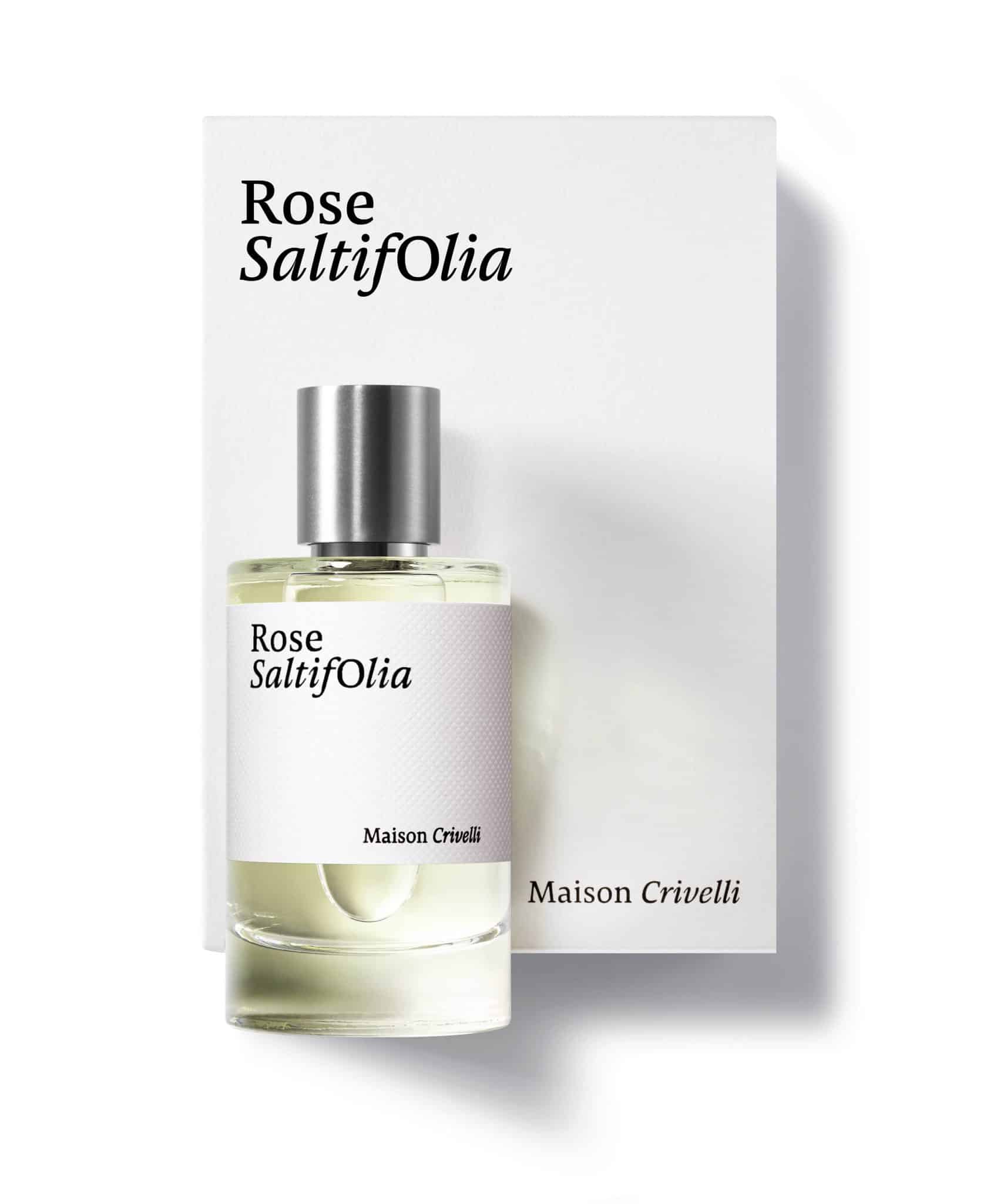 ROSE SALTIFOLIA - MAISON CRIVELLI - Image 3