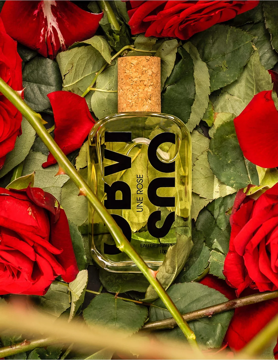 UNE ROSE - OBVIOUS - Image 2